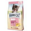 غذای خشک گربه هپی کت مدل kitten 