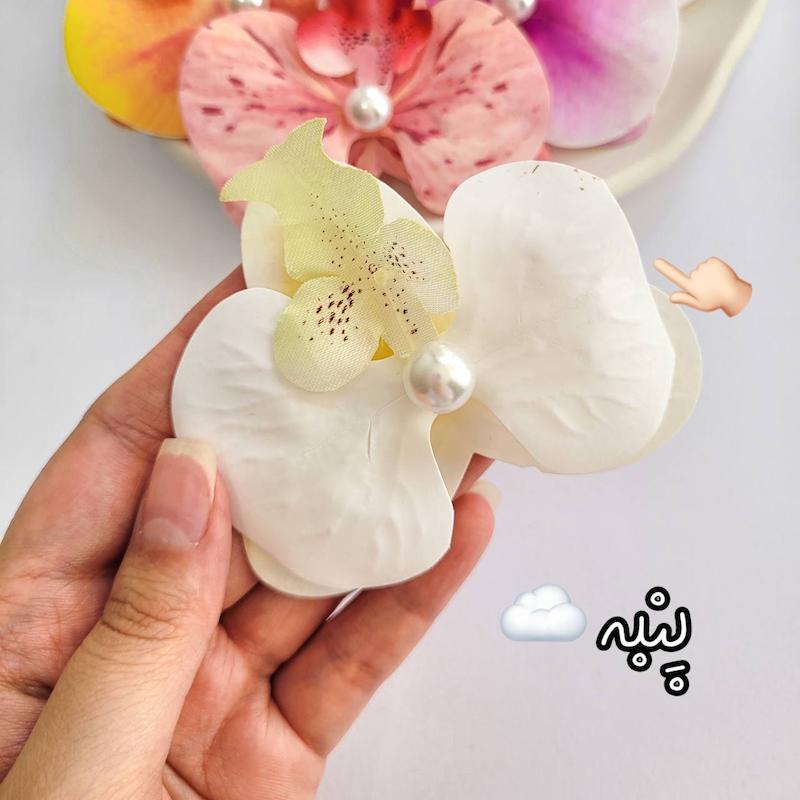 انبری ارکیده (ایراد جزیی)
