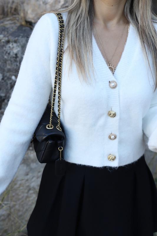 کاردیگن موهر Dilvin