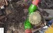 پوشا چندمنظوره سبز | GREENCOAT KW