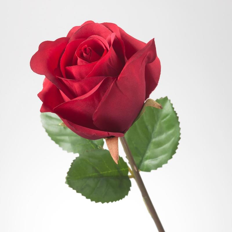 گل مصنوعی رز ایکیا 