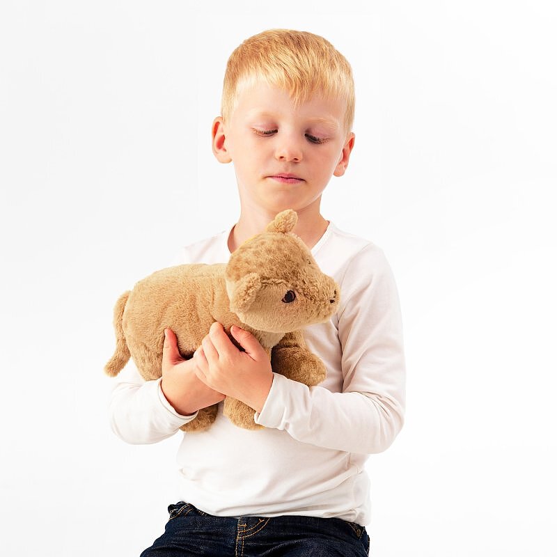 عروسک توله شیر ایکیا 