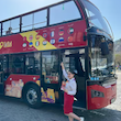 تفلیس: تور اتوبوس هاپ-آن هاپ-آف (Hop-On Hop-Off)