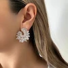 گوشواره زنانه مجلسی کد ۴۱۱