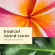 لوشن ضد افتاب برند Hawaiian Tropic  مدل Every Day Active مدل Ultra Light, High Performance Protection, SPF 30