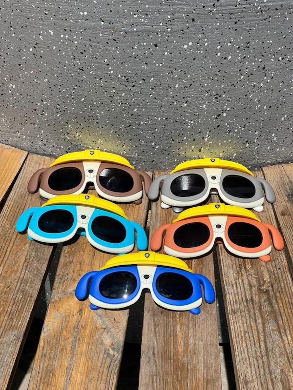 عینک آفتابی سگ های نگهبان