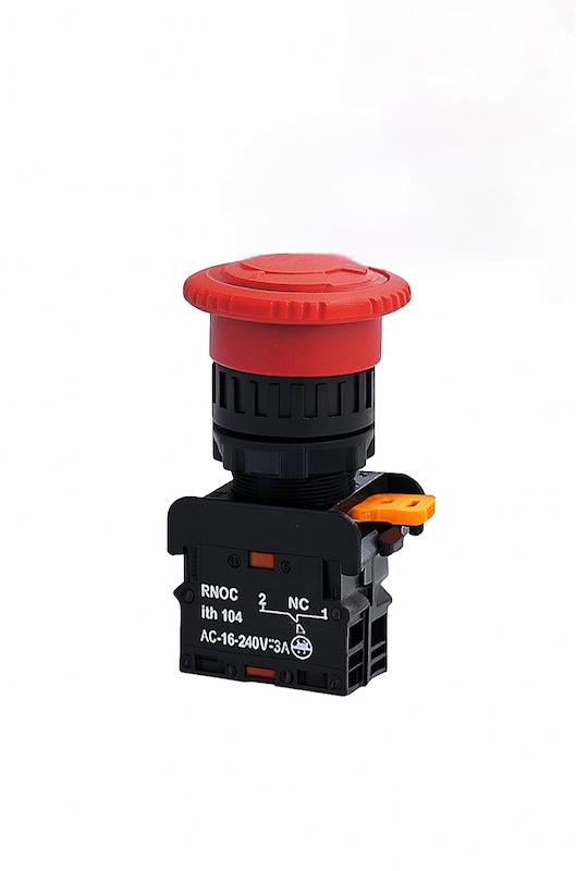 کلید قارچی رعد