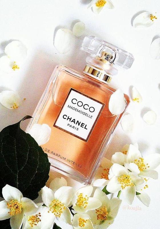 خرید عطر کوکوشنل، عطر کوکوشنل، ادکلن کوکوشنل، آنیس هوم، کوکوشنل، اسانس کوکوشنل، عطر زنانه، خرید عطر زنانه، ادکلن زنانه، خرید ادکلن زنانه