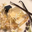 عطر لیبر زنانه،لیبر زن، لیبر، عطر ادکلن لیبر زنانه، ادکلن لیبر، عطر آنیس، عطر انیس، انیس پرفیوم، لیبر زنانه، ادکلن لیبر زنانه، عطر لیبر، عطر لیبر زنانه اورجینال، لیبر، عطر لیبر