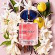 عطر مای وی زنانه، عطر ادکلنمای وی زنانه، ادکلن مای وی، عطر آنیس، عطر انیس، انیس پرفیوم، مای وی زنانه، ادکلن مای وی زنانه، عطر مای وی، عطر مای وی زنانه اورجینال، ادکلن مای وی اورجینال