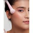 براش پنجه گربه ای Color Bloom Blush Brush [تضمین اصالت]