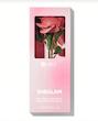 رژگونه گل رز شیگلم  Sheglam Pink Ribbon Rose Blush [تضمین اصالت]