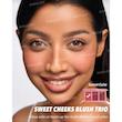 پالت رژگونه Sweet Cheeks Blush Trio [تضمین اصالت]