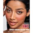 پالت رژگونه Sweet Cheeks Blush Trio [تضمین اصالت]
