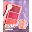 پالت رژگونه Sweet Cheeks Blush Trio [تضمین اصالت]