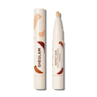 کانسیلر کاور بالا Perfect Skin High Coverage Concealer [تضمین اصالت]