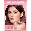 پالت رژگونه Sweet Cheeks Blush Trio [تضمین اصالت]