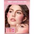 پالت رژگونه Sweet Cheeks Blush Trio [تضمین اصالت]