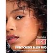 پالت رژگونه Sweet Cheeks Blush Trio [تضمین اصالت]