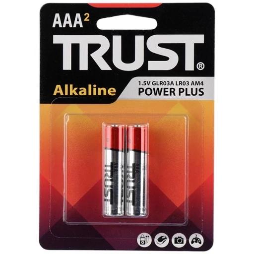 باتری نیم قلم دو عددی Alkaline