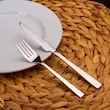 کارد و چنگال شیکاگو