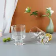 دسرخوری بیسیک گنجایش 200سی‌سی کد 0101 - (ست 6 عددی)