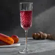 جام پاشاباغچه مدل تایملس 175 سی‌سی کد 440356 - (ست 4 عددی)