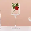 جام پاشاباغچه مدل آیکونیک 340‌سی‌سی کد 440229 - (ست 6 عددی)