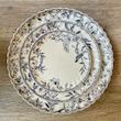 دیس گرد لوتوس