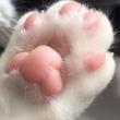 انگشتر پنجه پیشی🐾🐈