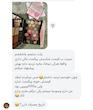 پلت سایه نود آنی لیدی