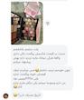 پلت سایه آنی لیدی بزرگ