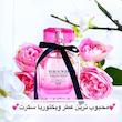 ادکلن ویکتوریا سکرت  Brand Collection 25mil