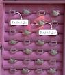 انگشتر کیتی💍✨