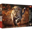 پازل Puzzle "1000 pcs" Photo Odyssey Wild Leopard