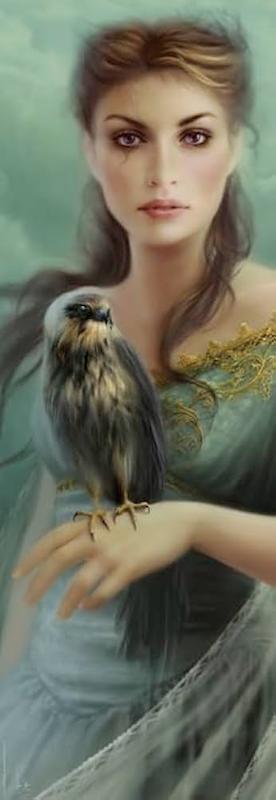 پازل 1000 تیکه heye vertical falcon delon 