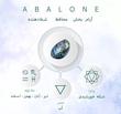 گردنبند رولباسی صدف آبالون اصل