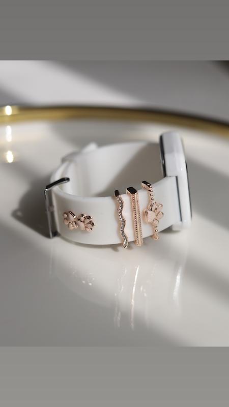 اكسسوري اپل واچ