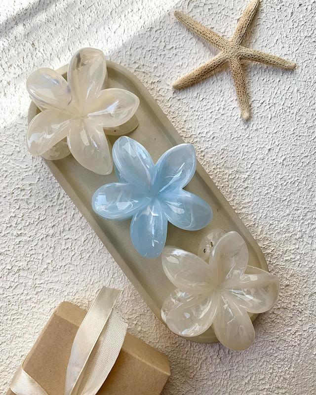 پلومريا ابنباتي