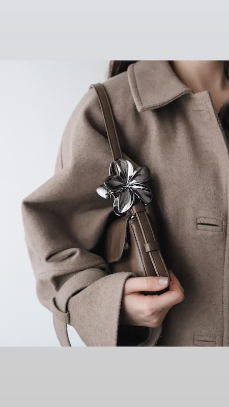 كليپس پلومريا