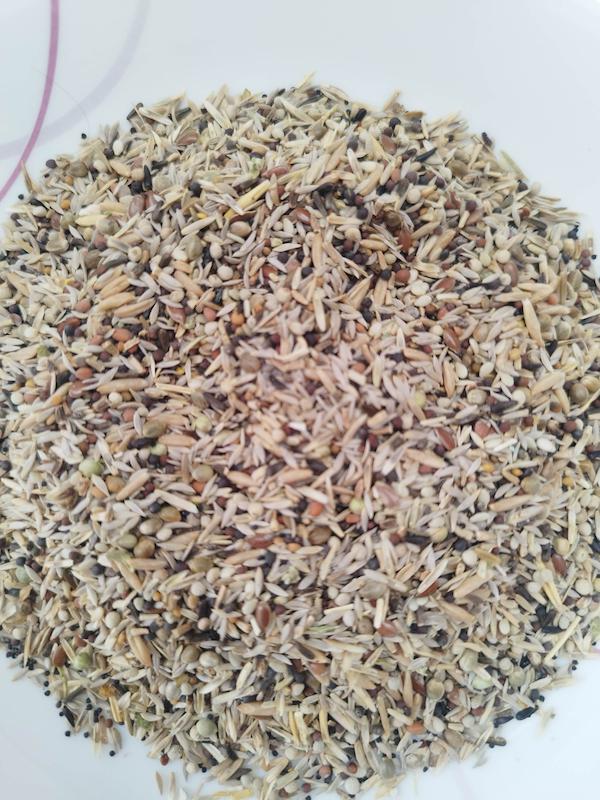 هفت تخم اعلا