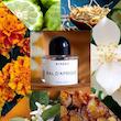 BYREDO - Bal d'Afrique بیره دو بال د آفریک