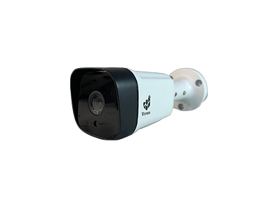 دوربین بالت 2 مگاپیکسل ویتنس مدل WS-255BU