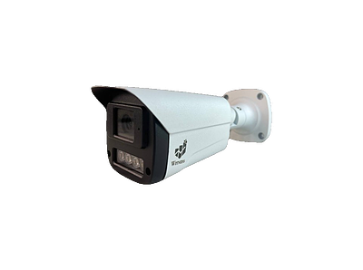 دوربین بالت 4 مگاپیکسل ویتنس مدل WS-IPC- 490BWT