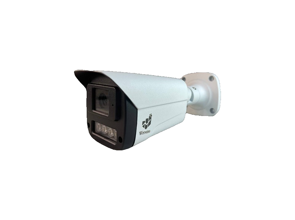 دوربین بالت 4 مگاپیکسل ویتنس مدل WS-IPC- 490BWT
