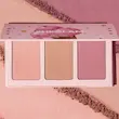 پالت رژ گونه شیگلم مدل Sweet Cheeks رنگ Enamored