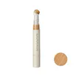 کانسیلر پددار شیگلم sheglam complexion boost concealer boost