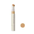 کانسیلر پددار شیگلم sheglam complexion boost concealer boost