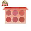 پالت رژگونه SHEGLAM شیگلم مدل Floral Flush