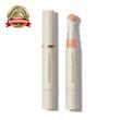 کانسیلر پددار شیگلم sheglam complexion boost concealer boost